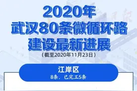 武汉80条路年内开通图片