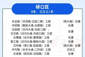 武汉80条路年内开通图片