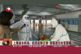 上海浦东机场：航班起降正常  旅客进出未受影响