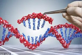 以色列称首创杀死癌细胞的“基因剪裁”，突破性疗法无副作用图片