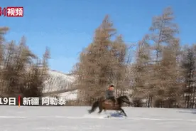 雪地里，新疆快递员这样送快递！网友：难怪不包邮图片