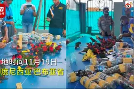 74只珍稀鹦鹉被塞进塑料瓶走私 鹦鹉被塞进塑料瓶照片曝光好残忍图片