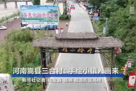 全面建成小康社会“百城千县万村调研行”丨河南嵩县三合村：手绘小镇入画来视频封面