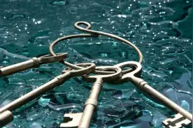 2020世界互联网大会：少了八卦和喧嚣，吃瓜群众都散了吧图片