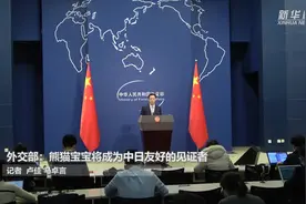 外交部：熊猫宝宝将成为中日友好的见证者视频封面