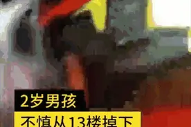 太惊险！两岁男童从13楼掉下，多亏12楼这对夫妻……图片