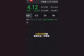 中国财富报道｜突发闪崩！暴涨240%“大妖股”栽了视频封面