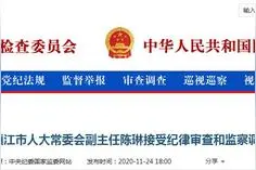 江苏省镇江市人大常委会副主任陈琳接受审查调查图片