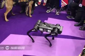 警博会上的这只网红机器狗什么来头？我们和它的主人聊了聊图片