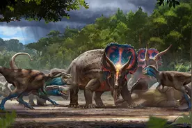 商业化石猎人发现“决斗恐龙”化石：三角龙与霸王龙之间的致命争斗图片