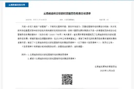 公共停车场1小时内停车免费 机动车安检每次不超过90元……云南发布一批经营服务性收费指导价图片