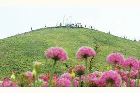 中国提速智慧旅游图片