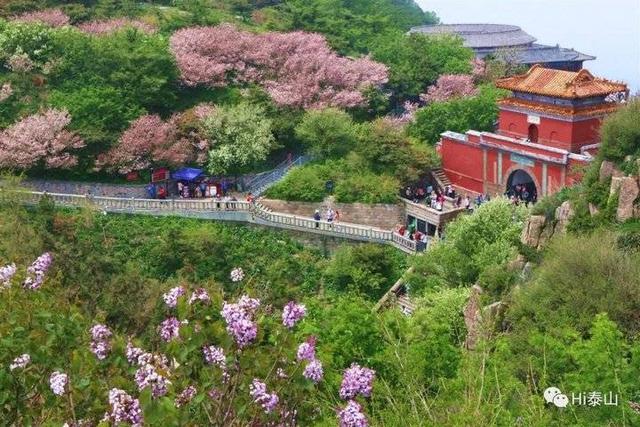 仰视造句简单（泰山的主题意境突出一个天字登南天门）