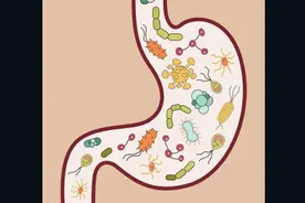 益生菌的历史和作用图片