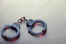 岳母带人“劫囚”，截停警车殴打民警，把女婿抢走！辩称：怀疑他们是假警察图片