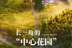 江苏溧阳，为何值得一去？图片