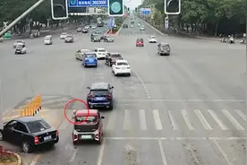 有人举报宠物狗在马路上开车，柳州交警调查后发现……图片