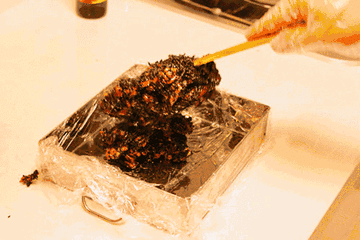 曝光！泉州人注意！这个叫娟娟的女人火了