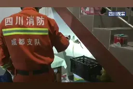 抓了！成都消防夜擒“不速之客”图片