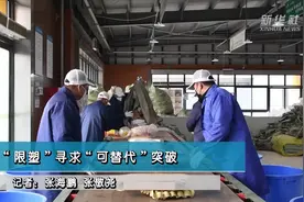 “限塑”寻求“可替代”突破视频封面