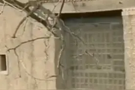 墙头上滑落下来的童年图片