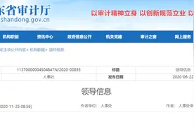 山东省审计厅公开领导分工及简历图片