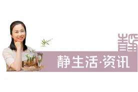 静生活@资讯∣云南“盛果森林”冰岛古树茶在东莞推广，助力消费扶贫图片