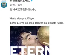 永别，迭戈图片
