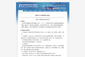 黄桷坪长江大桥有进展了！计划12月开工，这四个区最受益图片