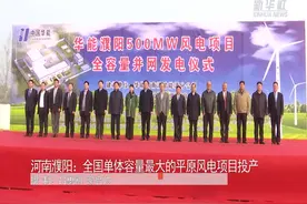 河南濮阳：全国单体容量最大的平原风电项目投产视频封面