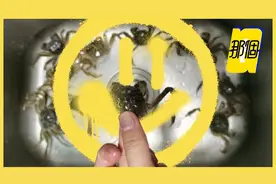 “可选全母”是大V们的赛博卖拐图片