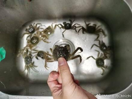 “可选全母”是大V们的赛博卖拐