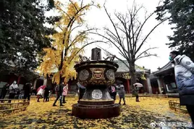 1.2吨的巨无霸火锅，你见过吗？图片