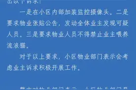 南京江宁警方回应流浪猫被虐杀：尚未涉及违法犯罪，但予以谴责图片