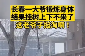 长春一大爷锻炼身体结果挂树上下不来了，网友：这老爷子挺淘啊图片