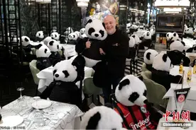 德国持续“封城”餐厅老板摆满大熊猫玩偶当顾客图片