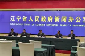 辽宁加快“两新一重”建设 创新项目谋划机制促发展图片