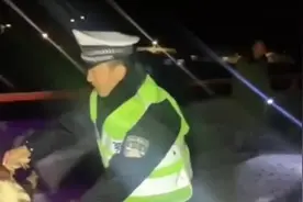 货车侧翻千只小鸡“大逃亡”，交警果断出手视频封面