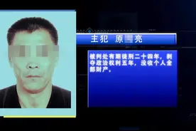 刑满释放后，50多岁的黑老大想大干一场，弥补“失去的青春”，再度获刑24年图片