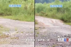 鸡蛋30米高处摔下不破、汽车撞墙几乎无损伤、钢板千度火焰烧不透……是真的吗？图片