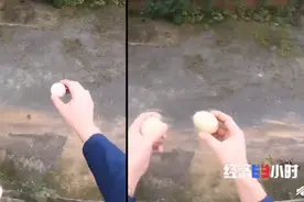 鸡蛋30米高空落地不破，只因一层神奇“涂料”？网友：快给我手机安排上图片