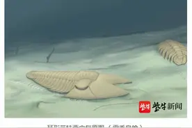 南京古生物所专家将5亿年前三叶虫命名为“范特西虫”真和周杰伦有关图片