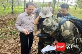 海口市自然资源和规划局首次组织实施森林资源二类调查图片