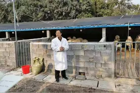 临沂大学教授校园里建“羊圈”，还拿了6个国家级项目图片