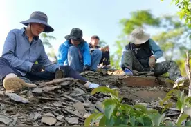 90后研究生用周杰伦专辑为5亿年前三叶虫命名图片