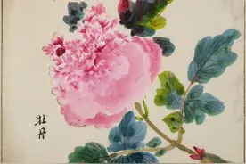 从未知国到异托邦：17-20世纪西方在中国的植物猎取②图片