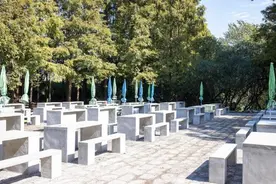 上海滨江森林公园烧烤区扩建完成，正式开放啦图片