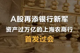 A股再添银行新军 资产近万亿元的上海农商行首发过会视频封面