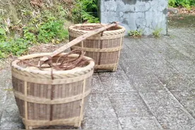 拾究之路｜井冈山精神③：竹木扁担两头系，铁血护党耀民心图片