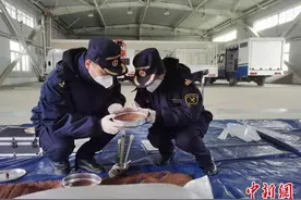 甘肃进境粮食指定监管场地运营 首票业务顺利通关图片